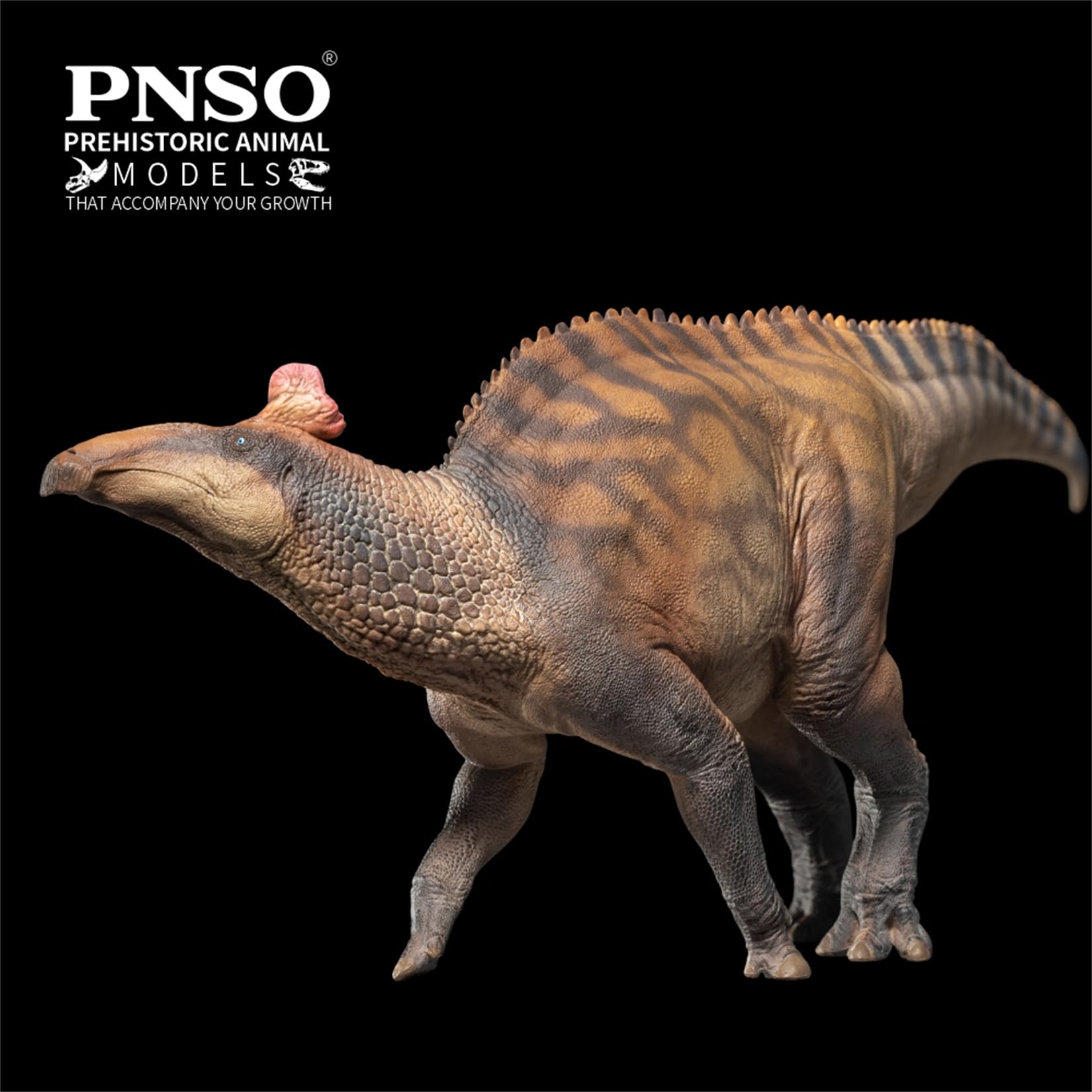 PNSO 80 エドモントサウルス 恐竜 フィギュア 33cm級 おもちゃ 模型 Amazon | PNSO 成長シリーズ 80 エドモントサウルス